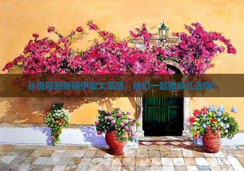 贵阳去新疆伊犁大草原自由团