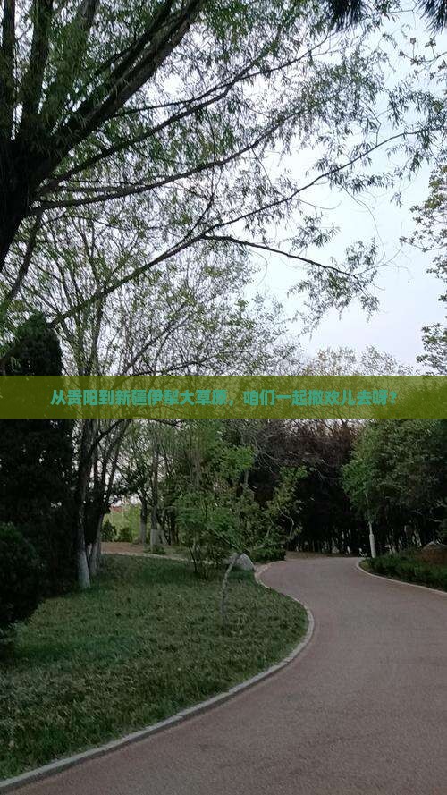 贵阳去新疆伊犁大草原自由团