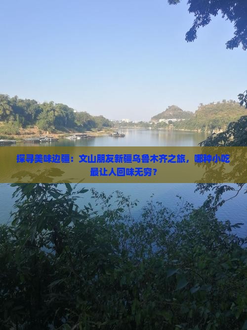 文山去新疆乌鲁木齐旅游小吃