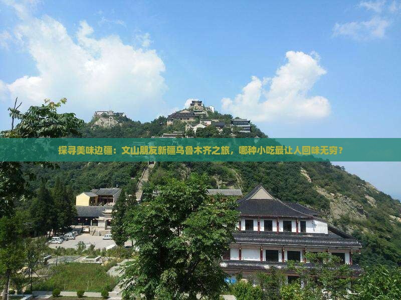 文山去新疆乌鲁木齐旅游小吃