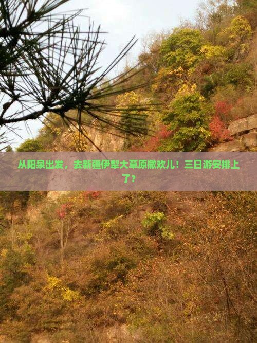 阳泉去新疆伊犁大草原三日游