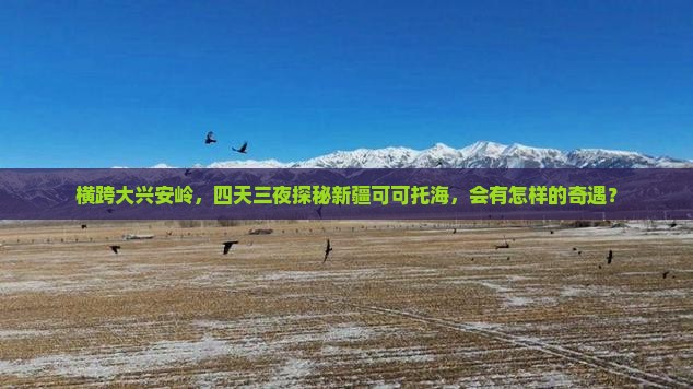 大兴安岭到新疆可可托海四日游