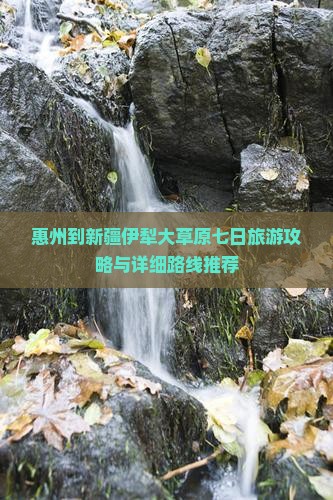 惠州到新疆伊犁大草原七日游