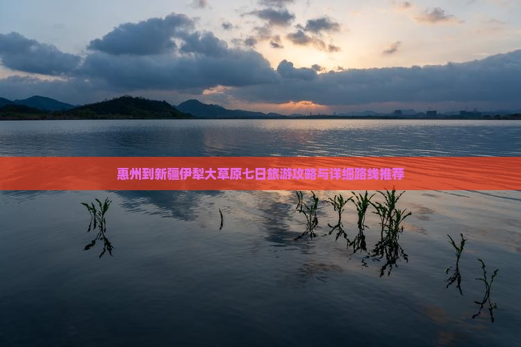 惠州到新疆伊犁大草原七日游