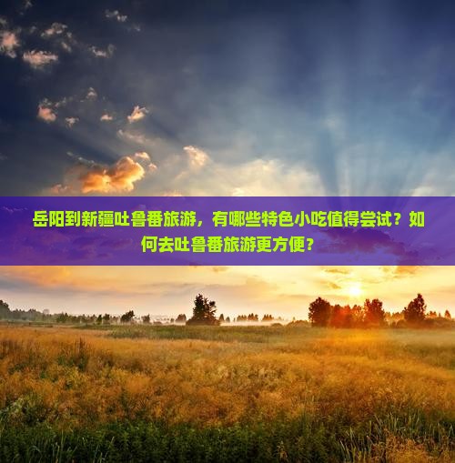 岳阳到新疆吐鲁番旅游小吃