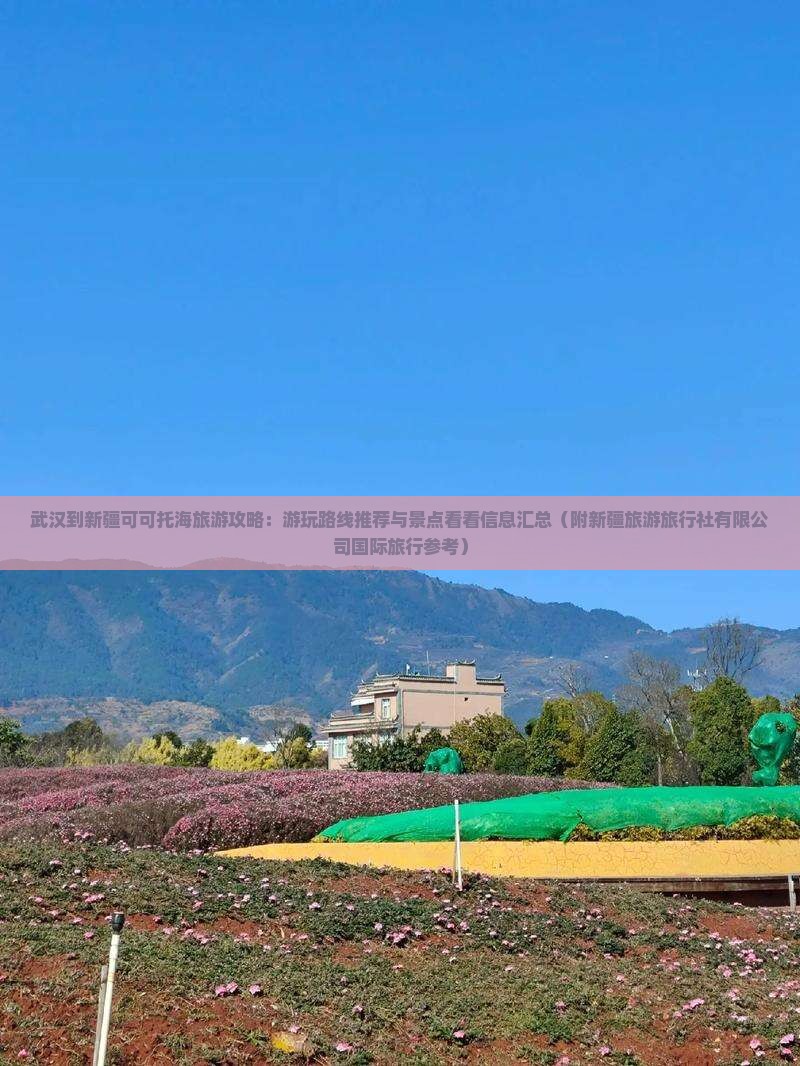 武汉去新疆可可托海哪里玩
