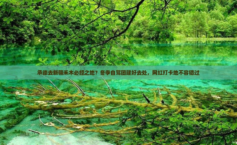 承德去新疆禾木必去地
