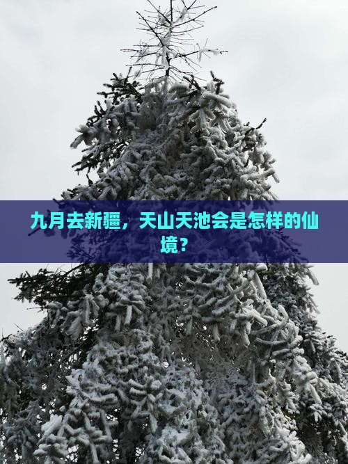 九月去新疆天山天池一日