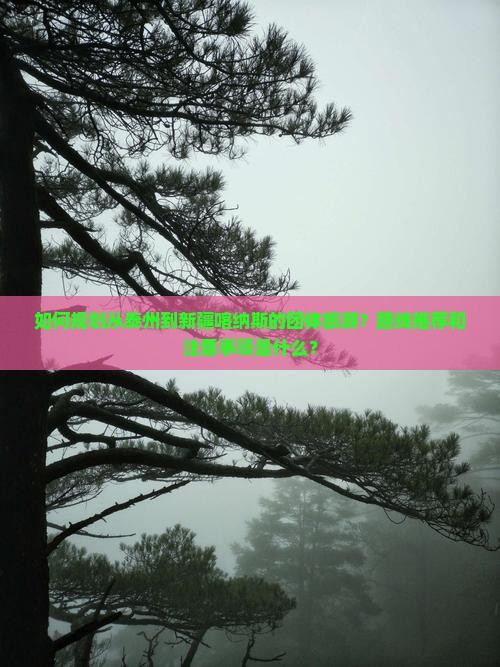 泰州到新疆喀纳斯团体旅游