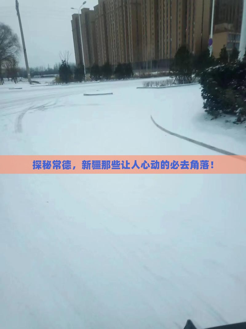 常德去新疆必去地