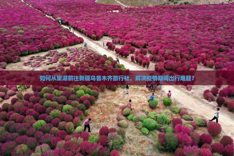 巢湖去新疆乌鲁木齐旅行社