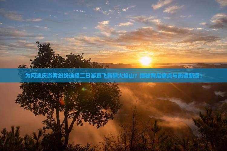 迪庆去新疆火焰山二日游