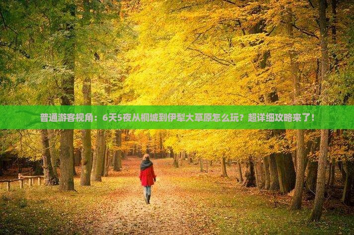桐城去新疆伊犁大草原六日游
