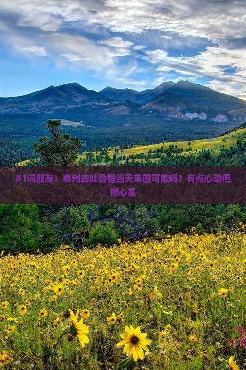 泰州到新疆吐鲁番一日