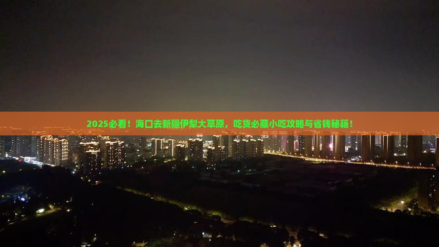 海口去新疆伊犁大草原旅游小吃