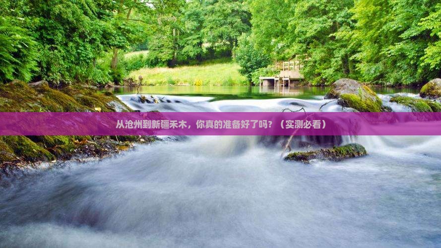 沧州去新疆禾木攻略