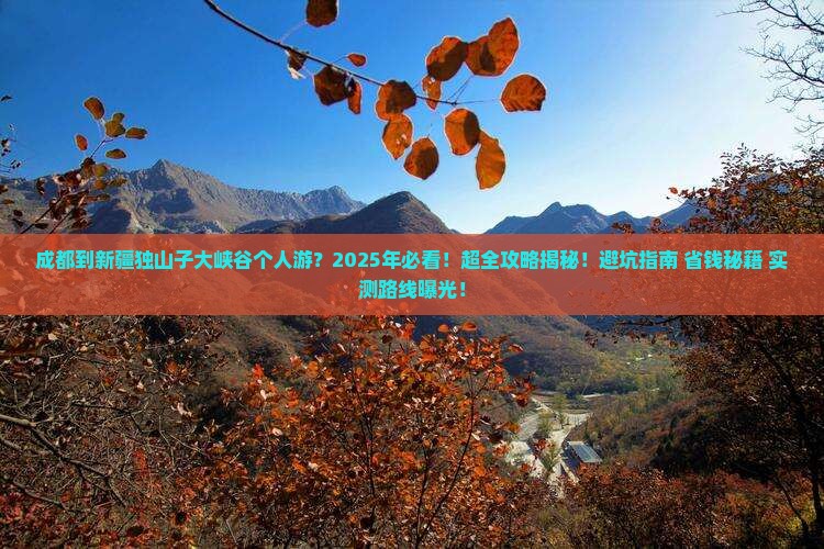 成都到新疆独山子大峡谷个人游