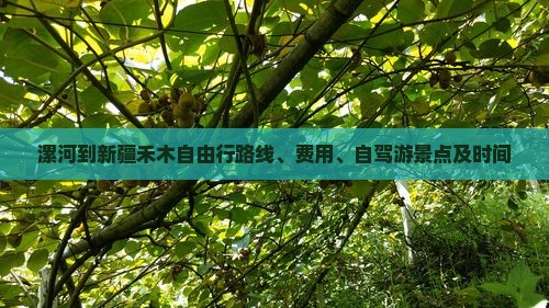 漯河到新疆禾木自由行