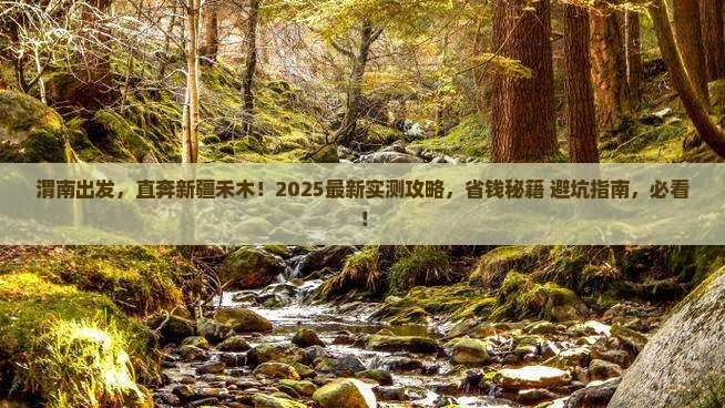 渭南去新疆禾木自由行