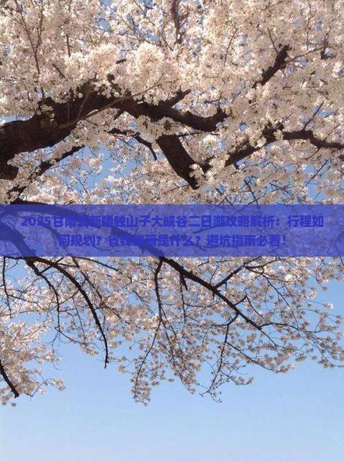 甘南去新疆独山子大峡谷二日游