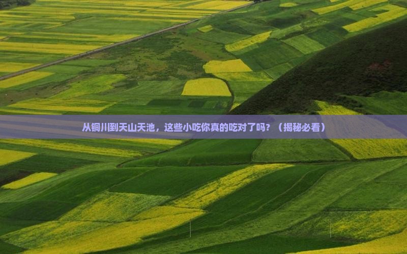 铜川到新疆天山天池旅游小吃