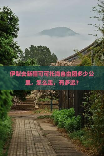 伊犁去新疆可可托海自由团