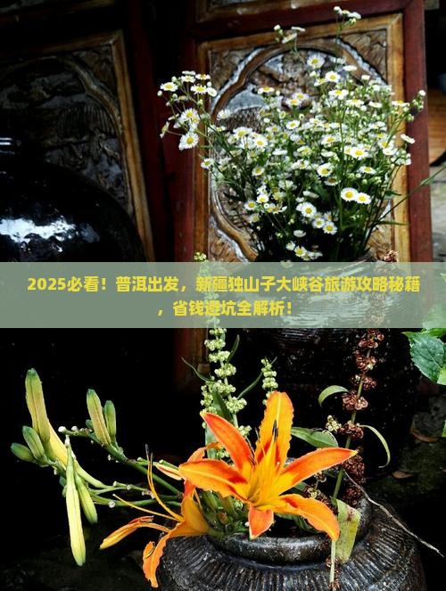 普洱去新疆独山子大峡谷旅游