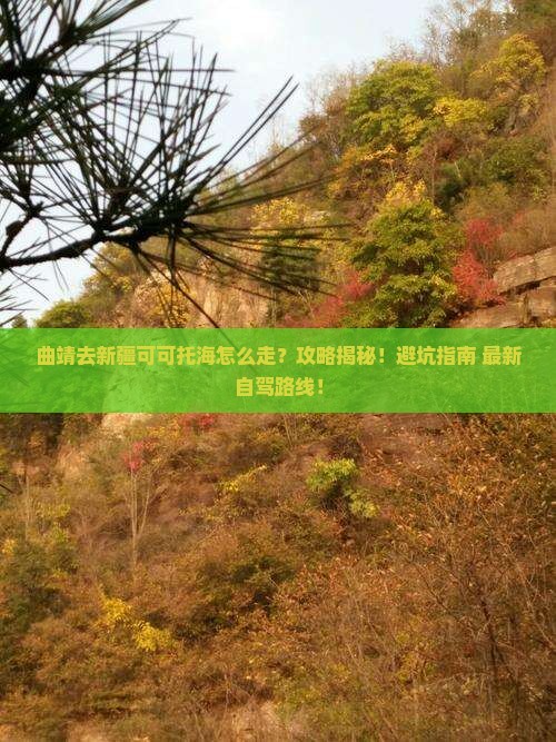 曲靖去新疆可可托海攻略