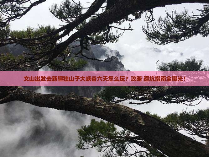 文山去新疆独山子大峡谷六日游