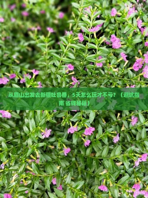 眉山去新疆吐鲁番攻略