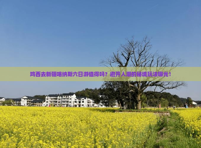 鸡西去新疆喀纳斯六日游