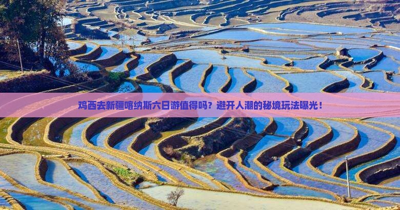 鸡西去新疆喀纳斯六日游