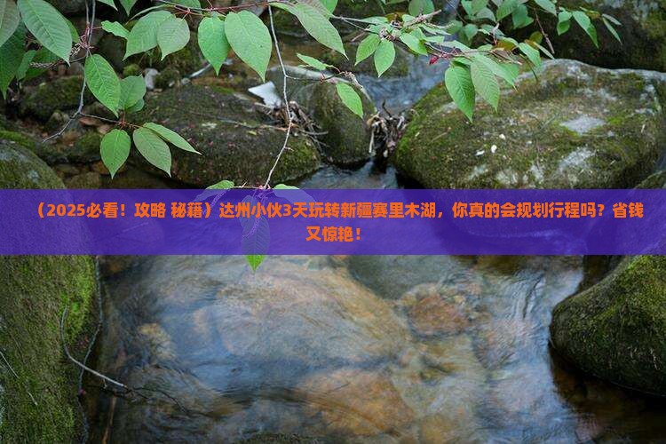 达州到新疆赛里木湖三日游