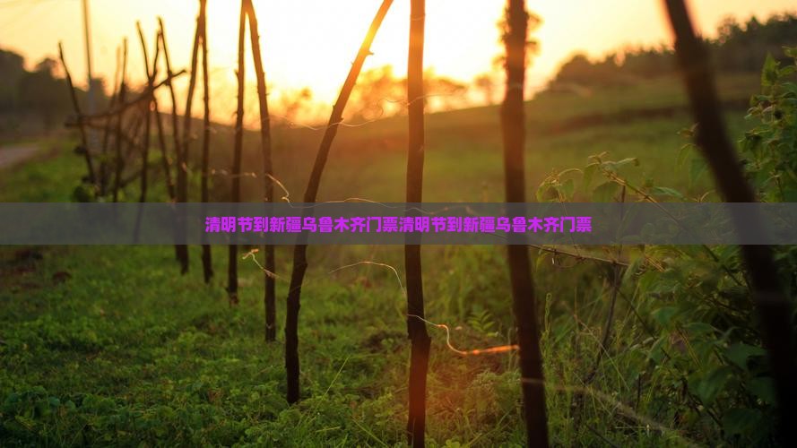 清明节到新疆乌鲁木齐门票