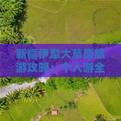 襄樊到新疆伊犁大草原个人游