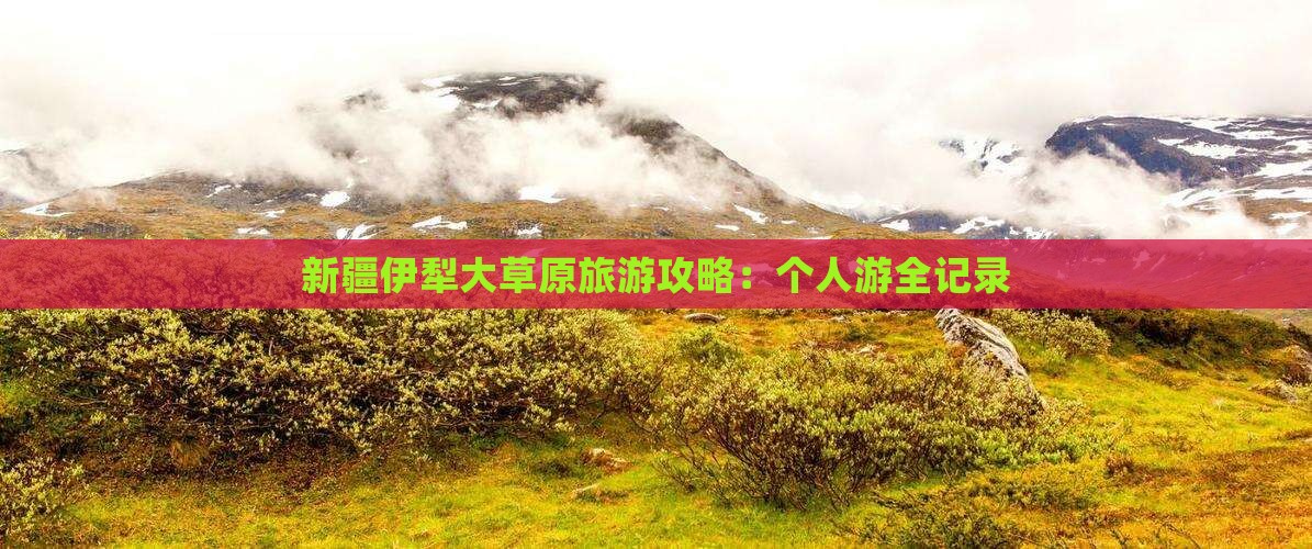 襄樊到新疆伊犁大草原个人游