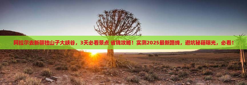 阿拉尔去新疆独山子大峡谷哪里玩