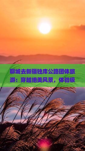 聊城去新疆独库公路团体旅游