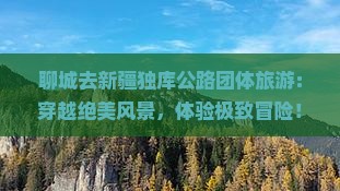 聊城去新疆独库公路团体旅游