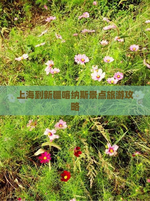 上海到新疆喀纳斯哪里玩