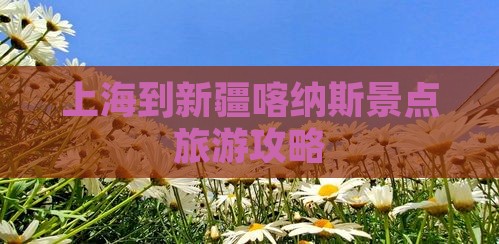 上海到新疆喀纳斯哪里玩