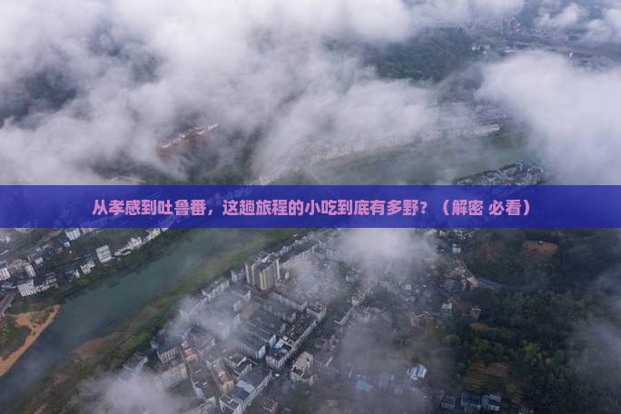 孝感去新疆吐鲁番旅游小吃