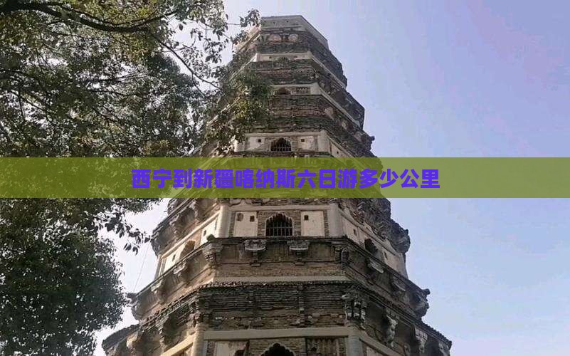 西宁到新疆喀纳斯六日游