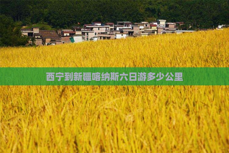 西宁到新疆喀纳斯六日游