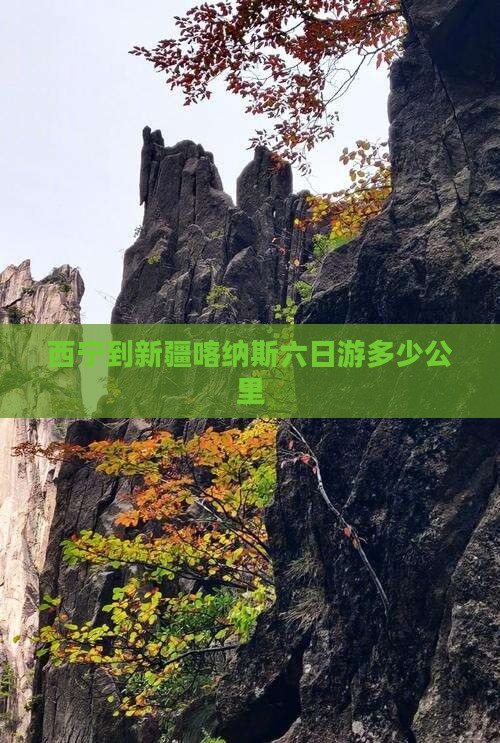 西宁到新疆喀纳斯六日游