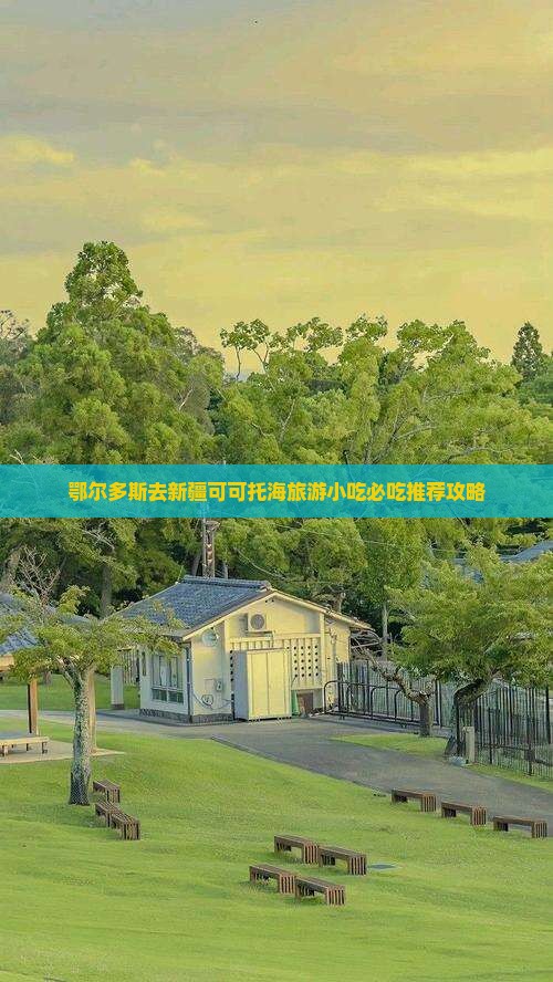 鄂尔多斯去新疆可可托海旅游小吃