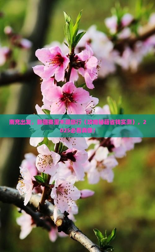 南充去新疆赛里木湖景点