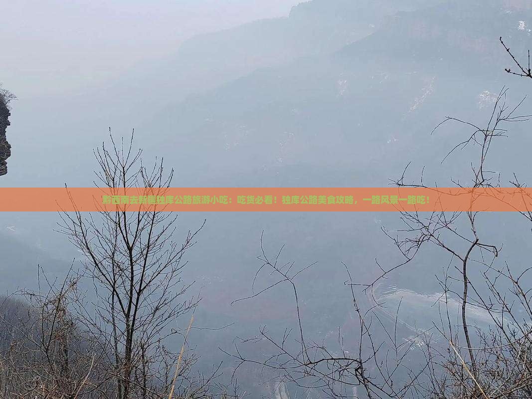 黔西南去新疆独库公路旅游小吃