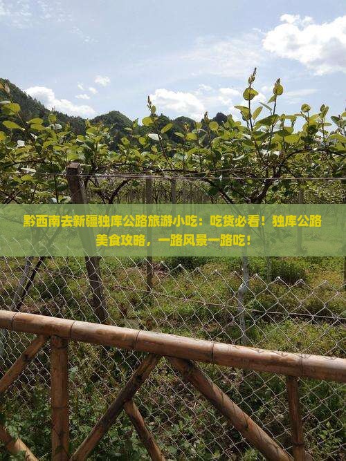 黔西南去新疆独库公路旅游小吃
