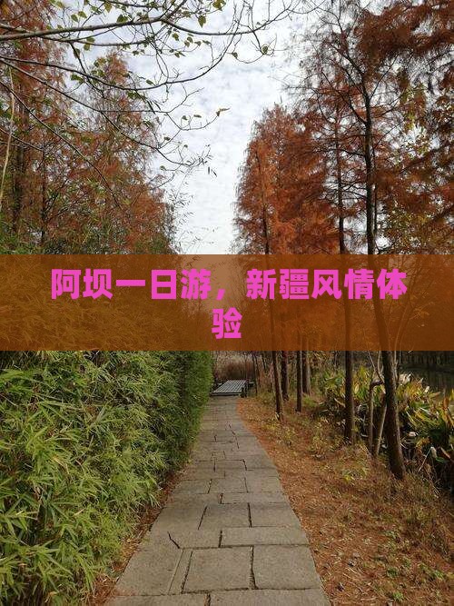 阿坝去新疆一日